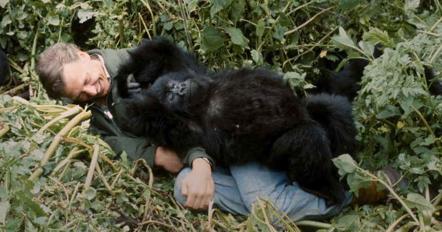 Pablo (pictured) suddenly lies on top of David Attenborough during the shoot 