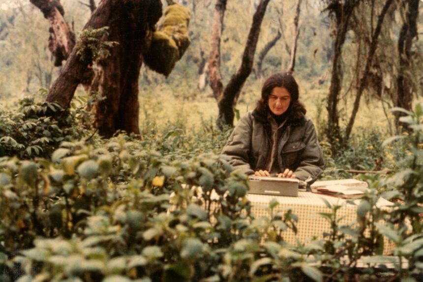 Primatologist Diane Master (pictured) has become known for her boots-on-the-ground approach to mountain gorilla conservation. In 1967, she established a research station within the Virunga Mountains to support research and conservation of endangered species.