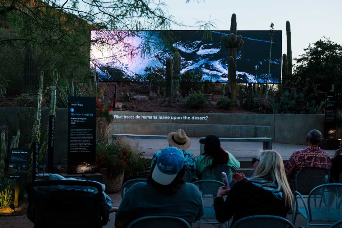 Visitors watch Horizon | Imprint from FRAMERATE: Desert Pulse at Desert Botanical Garden, Phoenix, Arizona, April 14, 2026.
