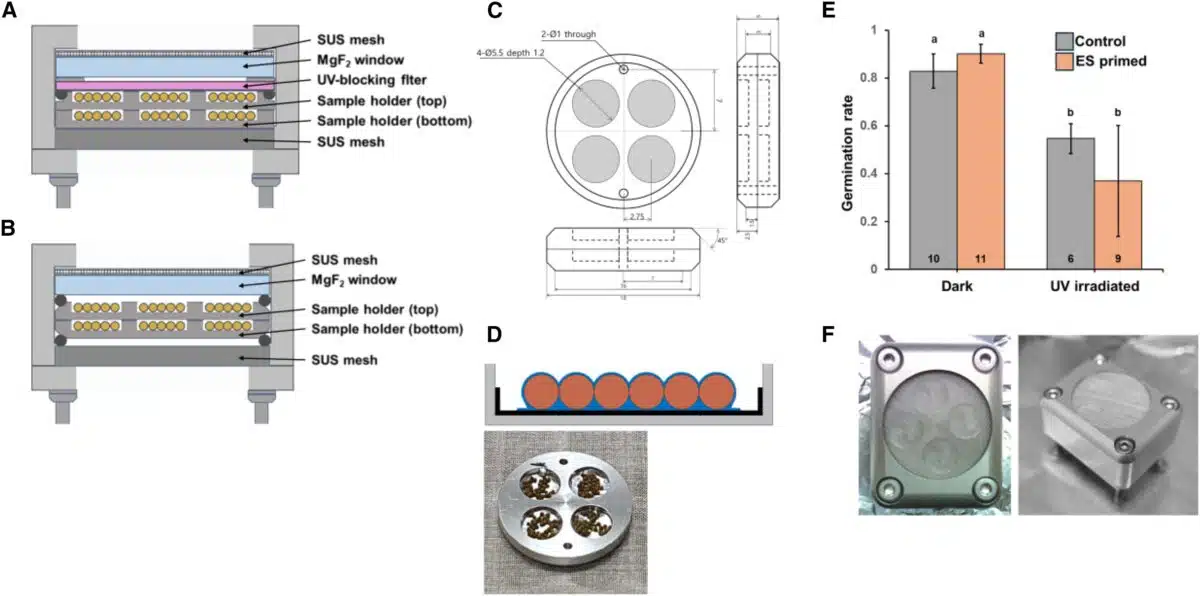 Layout of space irradiation device and arrangement of experimental samples