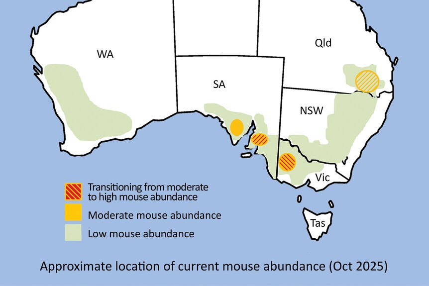 A map of Australia showing areas with high rat activity.
