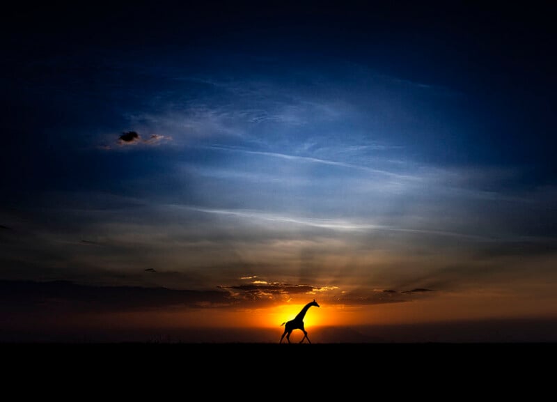 A lone giraffe walks across a flat landscape at sunset, silhouetted against an orange and blue sky with scattered clouds and sunlight rays radiating from the horizon.