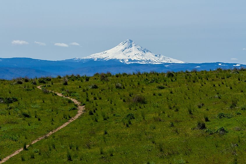 Columbia Hills Historic State Park in Washington with views of Mount Hood.