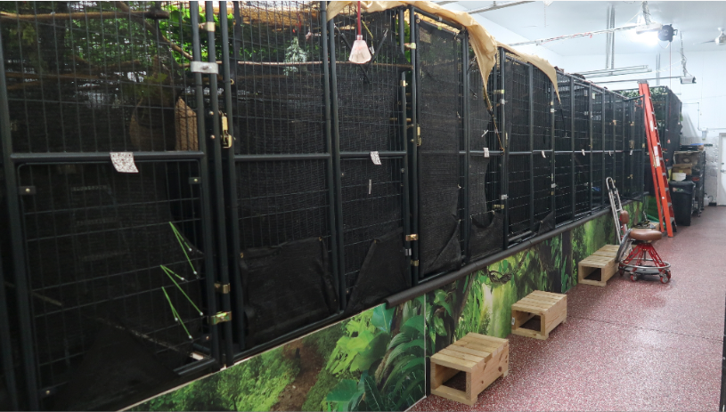 New FWC report includes photos of sloth cages found in warehouses