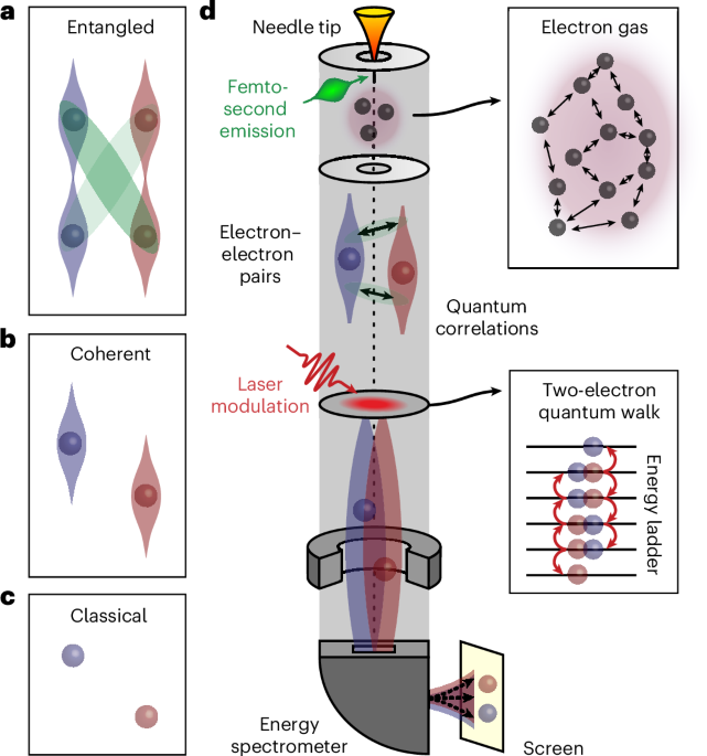 A two-electron quantum walk to investigate entanglement and decoherence with electron microscopy - Nature Physics