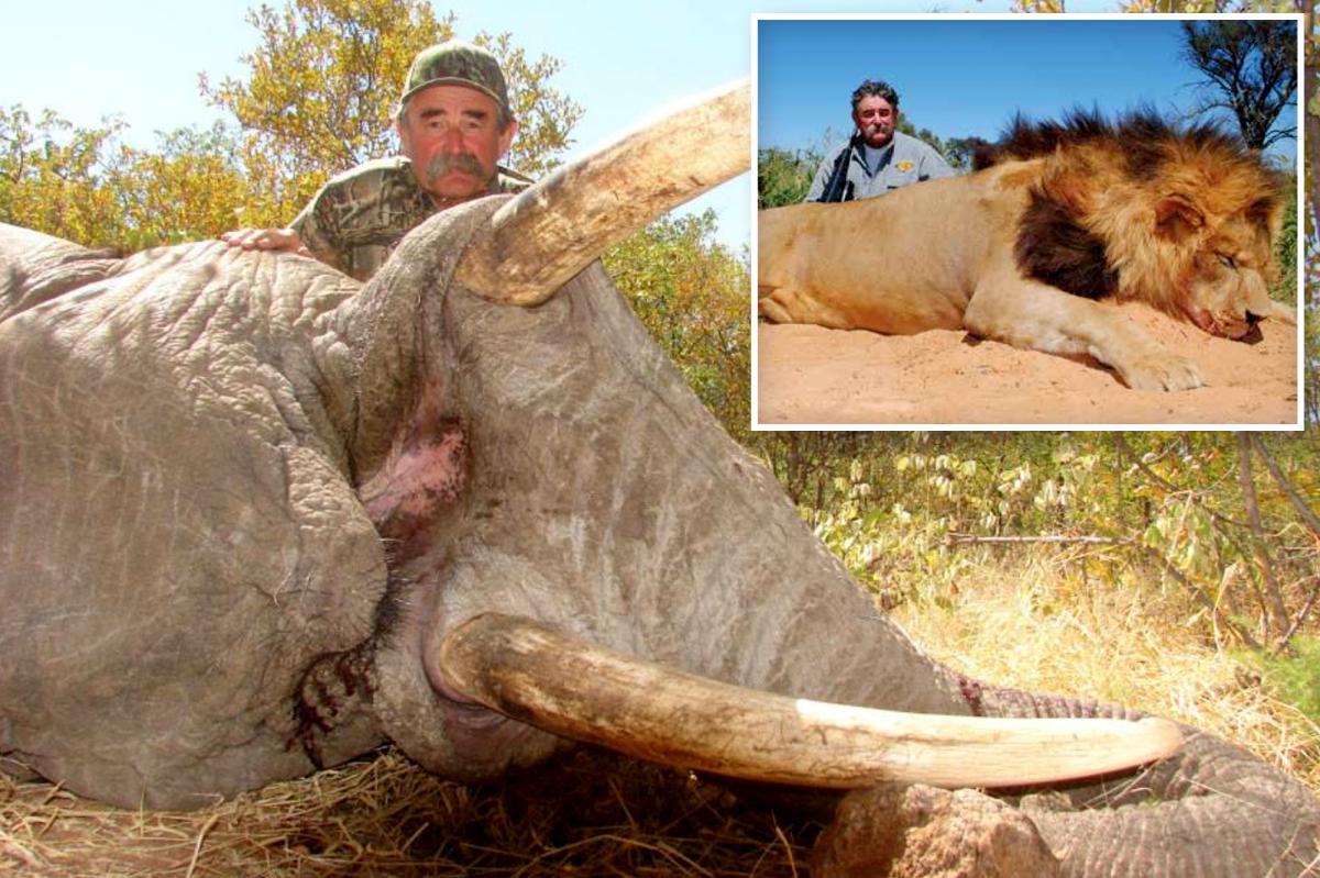 Billionaire American big game hunter dies after being trampled by five elephants while hunting for his next prey in Africa