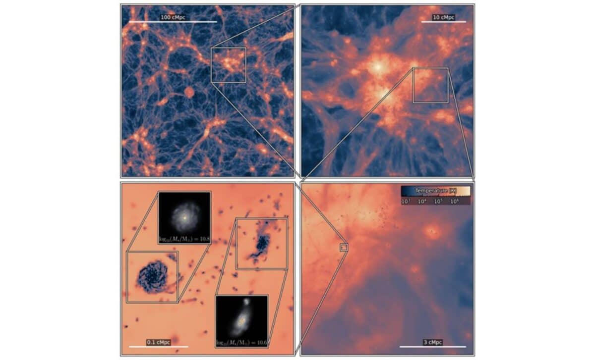 L200m6 simulation zooms out of the massive cosmic web