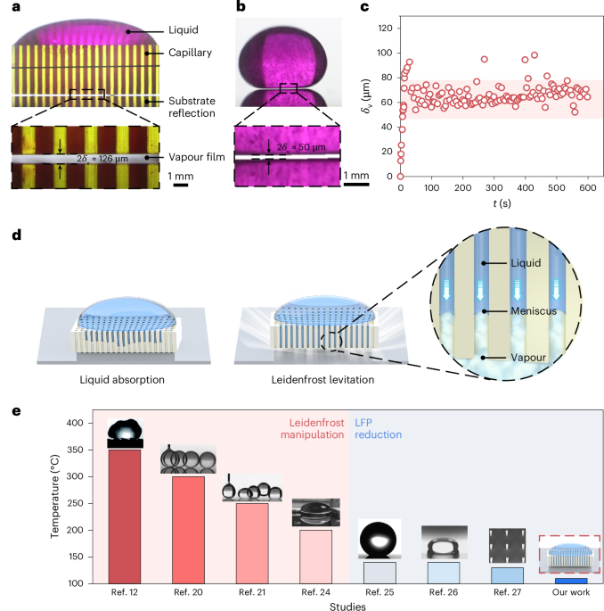 Capillary Leidenfrost effect - Nature Physs