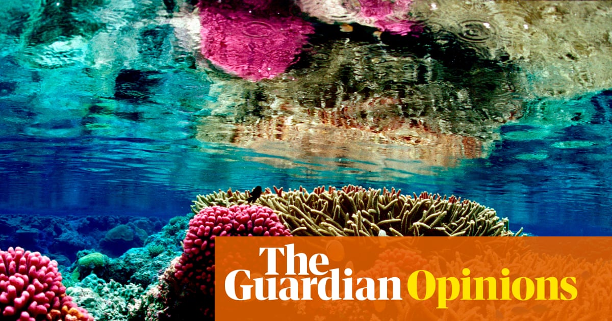 Coral reefs are nearing extinction. 2026 should be a turning point | Jason Momoa