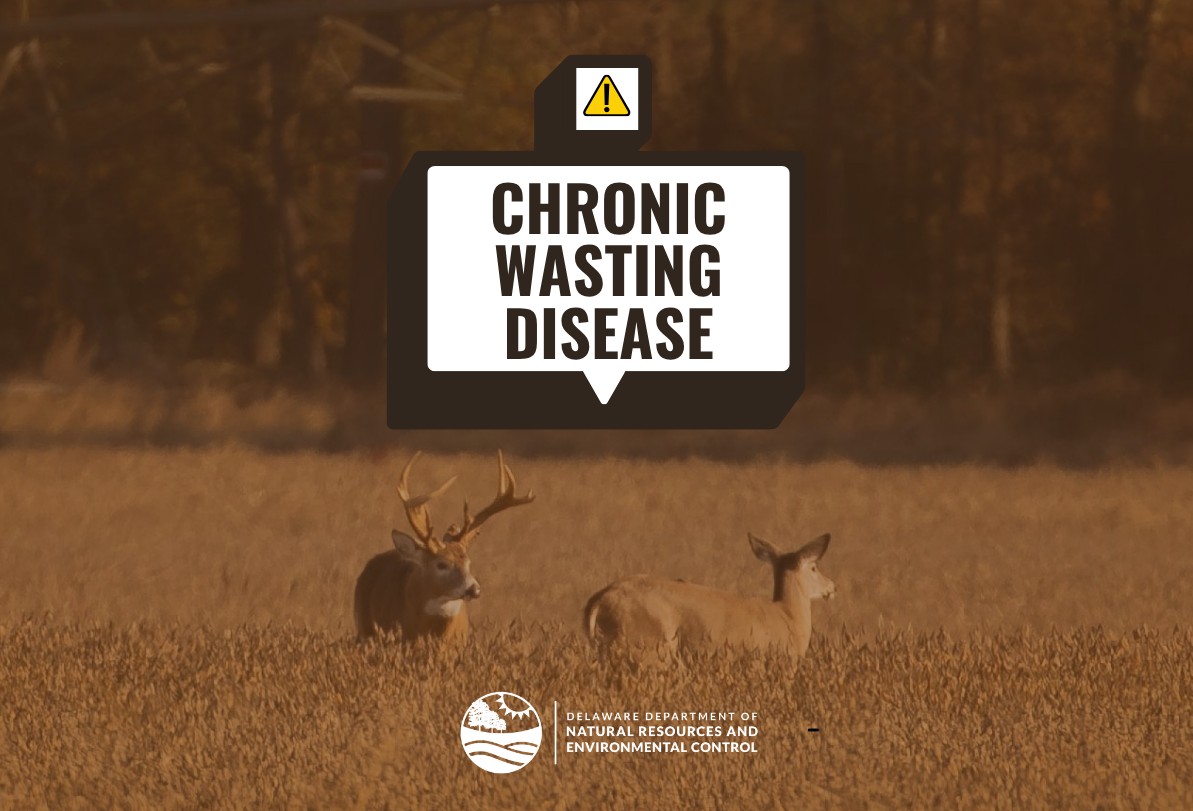 A warning graphic with two white-tailed deer in a field and the words