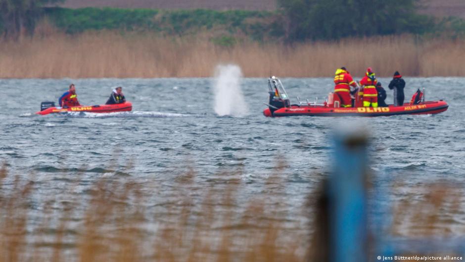 German news: Stranded whale Timmy on the move again