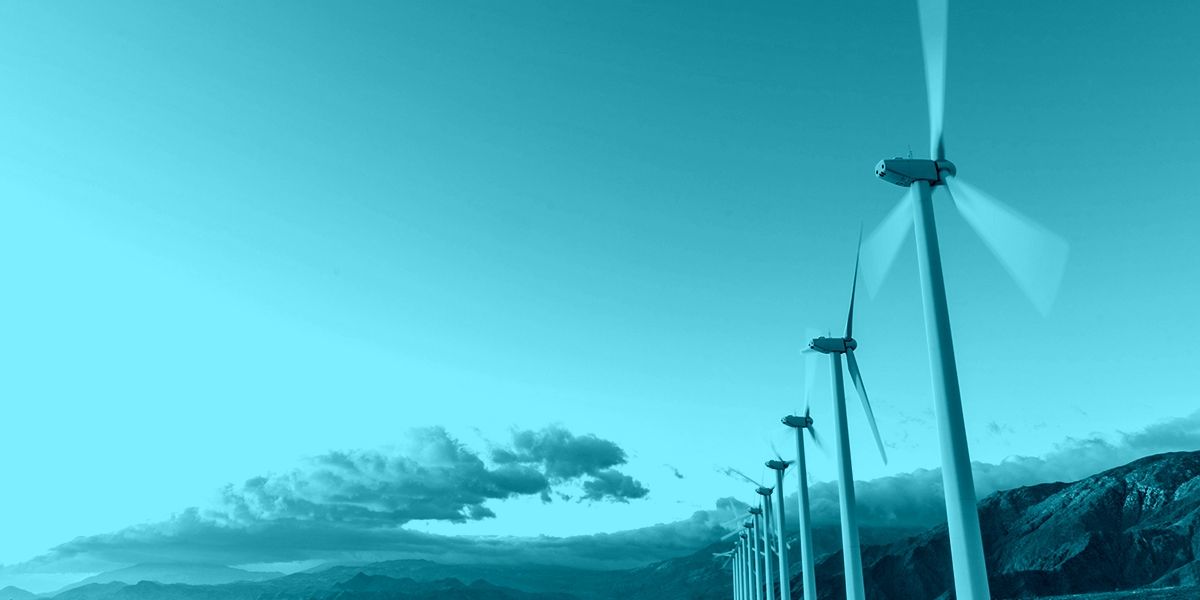 Japan's largest renewable energy project begins
