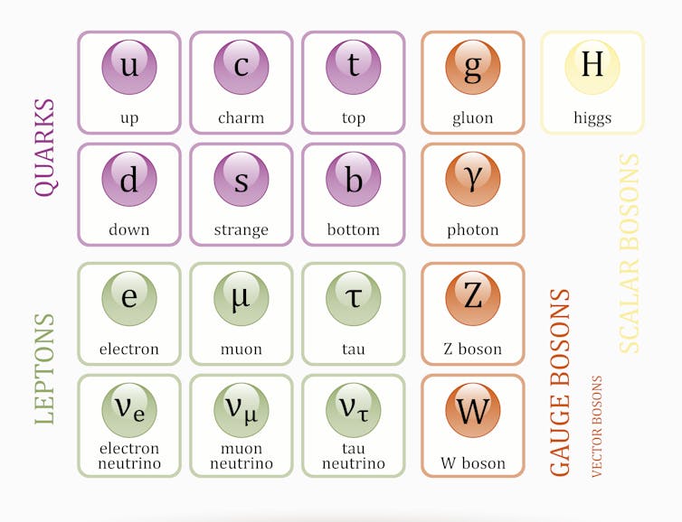 standard model