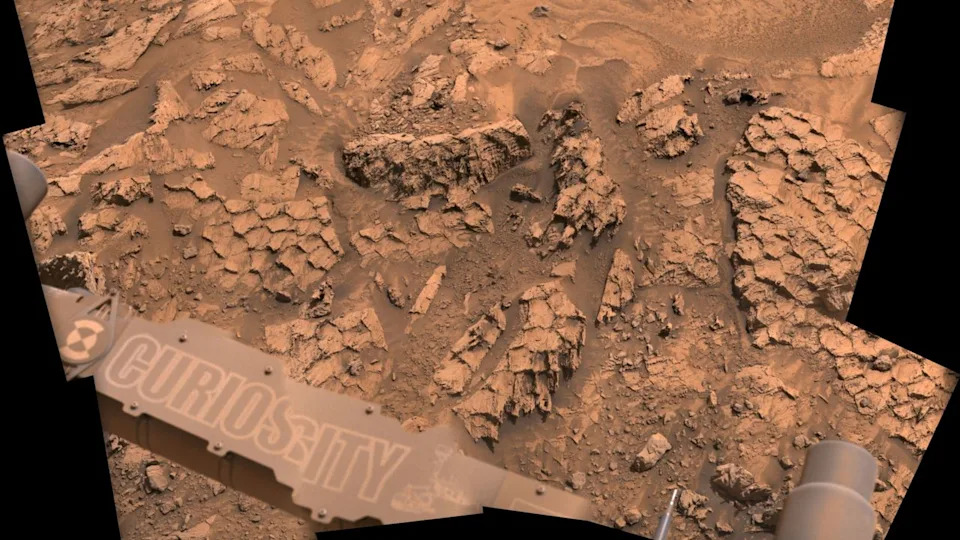 A close-up of Mars' rocky polygons that look like the scales of a giant reptile.