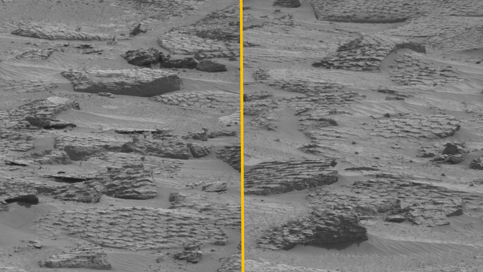 Black and white photo of polygon-covered rocks on Mars that look like giant reptilian scales