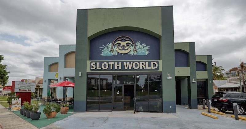 New Florida tourist attraction plan kills dozens of wild sloths