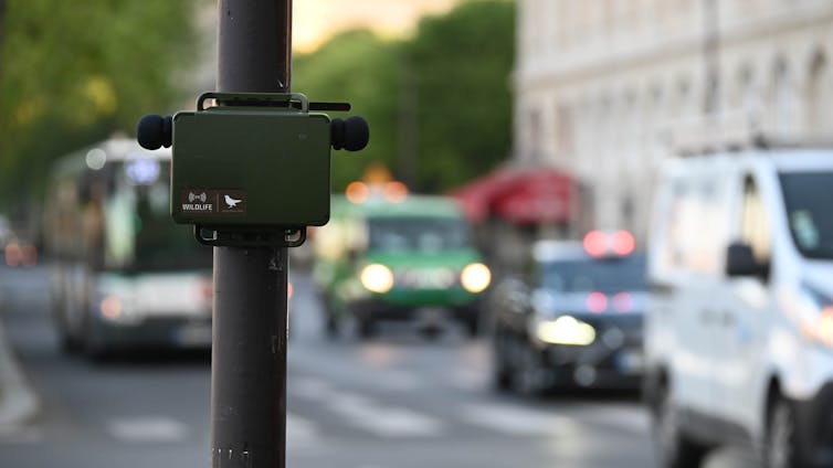 A black box attached to a streetlight. It has a picture of a bird on it. Traffic is blurred in the background.