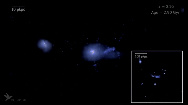 Purple specks swirl and move in the dark sky.