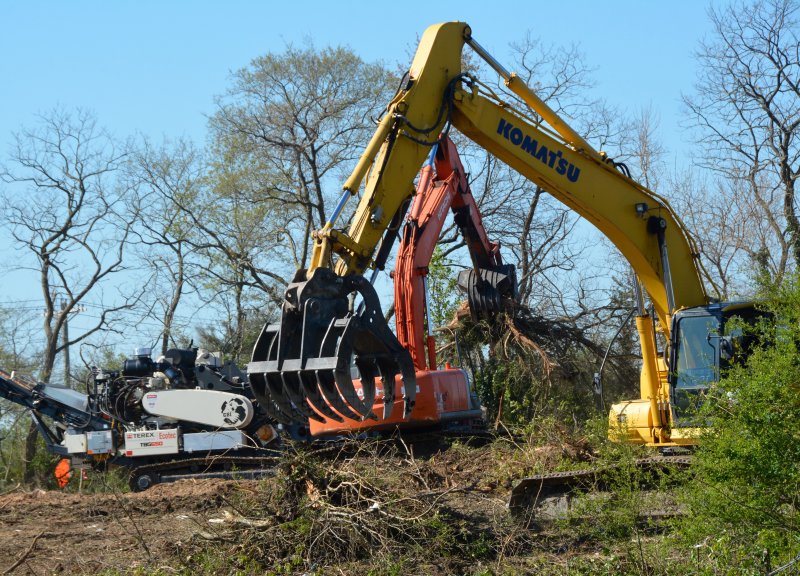 Sussex focuses on forest protection laws