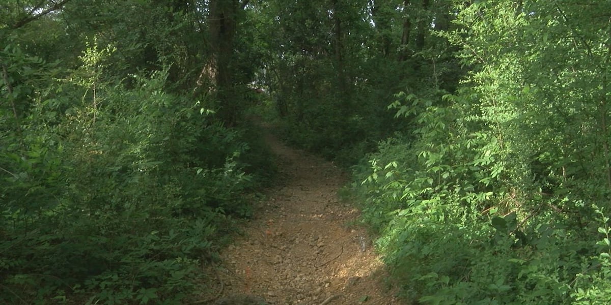 Wildlife scare in Trussville raises questions about who to call in an emergency