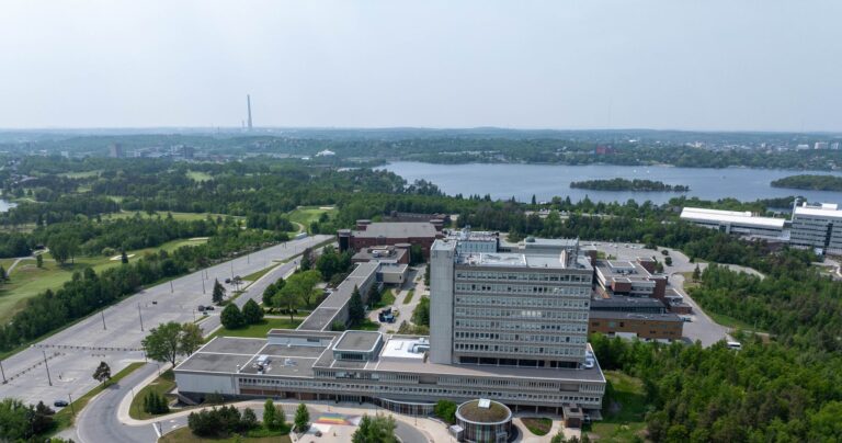 Laurentian University International Excellence Scholarship Program